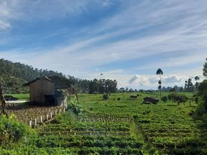 Prakiraan Cuaca Bandung, Jumat 27 Oktober 2023: Hujan Ringan
