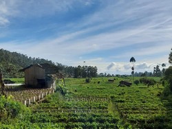Prakiraan Cuaca Bandung, Jumat 27 Oktober 2023: Hujan Ringan