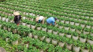 Potret Desa Wisata Alamendah yang Punya Omset Miliaran Rupiah