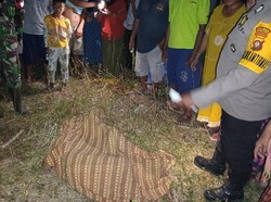 Geger Mayat Pedagang Wanita di Gorontalo Utara Ditemukan di Perkebunan