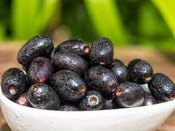 10 Manfaat Buah Jamblang untuk Hidup Lebih Sehat