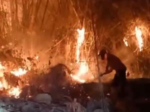 557 Kebakaran di DIY hingga 16 Oktober, BPBD: Paling Banyak Akibat Lalai 557 Kebakaran di DIY hingga 16 Oktober, BPBD: Paling Banyak Akibat Lalai