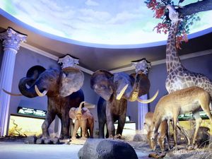 Batu Secret Zoo: Koleksi Satwa, Zona, Fasilitas, Tiket, dan Lokasi