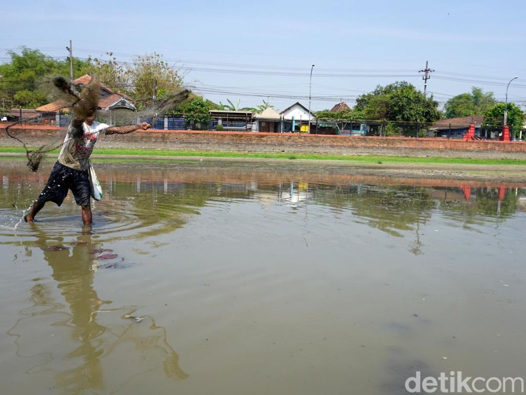 Segaran Berita dan Informasi Kolam segaran mengering Terkini dan Terbaru Hari ...