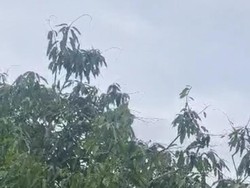 Kota Parepare Diguyur Hujan, Warga Harap Musim Kemarau Berakhir