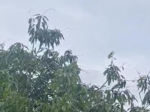 Kota Parepare Diguyur Hujan, Warga Harap Musim Kemarau Berakhir Kota Parepare Diguyur Hujan, Warga Harap Musim Kemarau Berakhir