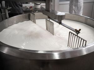Bagaimana Cara Pasteurisasi? Proses Sterilisasi yang Menekan Kerusakan Protein Bagaimana Cara Pasteurisasi? Proses Sterilisasi yang Menekan Kerusakan Protein