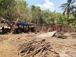 Diteror Monyet Ekor Panjang, 2 Keluarga di Ngawen Gunungkidul Direlokasi