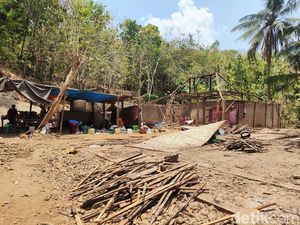 Diteror Monyet Ekor Panjang, 2 Keluarga di Ngawen Gunungkidul Direlokasi Diteror Monyet Ekor Panjang, 2 Keluarga di Ngawen Gunungkidul Direlokasi
