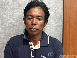 Ini Tampang Penyelundup 11 Penyu Hijau untuk Konsumsi di Gilimanuk