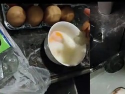 Wanita Ini Lupa Turunkan Telur dari Dalam Mobil Selama 15 Jam, Hasilnya Tak terduga