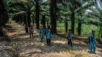 Akses Sulit, Siswa SD di Lebak Jalan 2 Km ke Sekolah