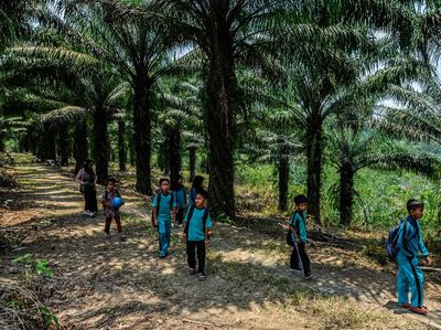 Akses Sulit, Siswa SD di Lebak Jalan 2 Km ke Sekolah