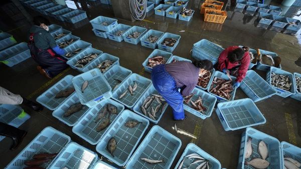 Badan Energi Atom IAEA Uji Sampel Hasil Laut di Fukushima
