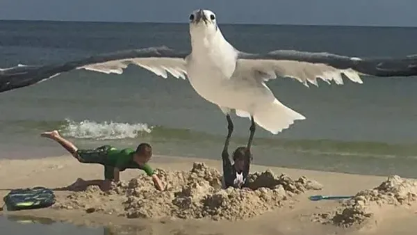 Bahaya Lihat Foto Ini Sekilas Bisa Salah Persepsi