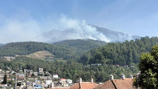 Gunung Lawu kembali terbakar.