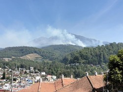Gunung Lawu Kebakaran Lagi