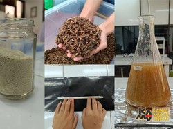 Langka! Sedotan Buatan Mahasiswa Unpad Ini Terbuat dari Kulit Larva Lalat