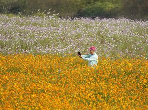 Banyak Warga Korsel Hidup Sebatang Kara Berujung Mati Kesepian Banyak Warga Korsel Hidup Sebatang Kara Berujung Mati Kesepian