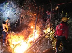 BPBD Jatim Ungkap Kondisi Terkini Usai Gunung Lawu Kembali Terbakar