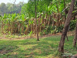 Menjelajah Doi Inthanon Park Thailand