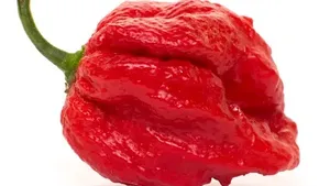 Ini Dia! Penampilan 10 Cabai Terpedas di Dunia yang Membakar Lambung