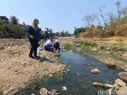 DLH Jatim Ambil Sampel Air Sungai Welang Pasuruan yang Diduga Tercemar