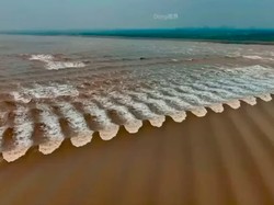 Fenomena Unik Gelombang Sisik Ikan, Cuma Ada di Sungai Qiantang