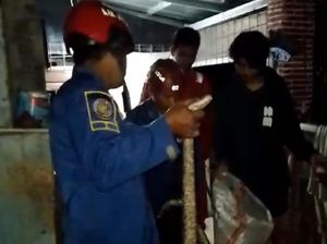 Kaget Ular Sanca Muncul di Mesin Cuci, Warga Bogor Panggil Damkar