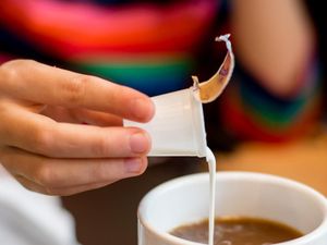 Awas! Sering Seduh Kopi Pakai Krimer Punya Risiko untuk Kulit