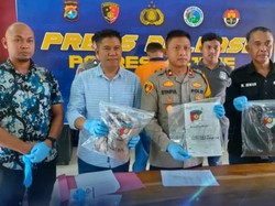 Oknum ASN Dinsos Majene Lecehkan Mahasiswi Unsulbar Jadi Tersangka-Ditahan
