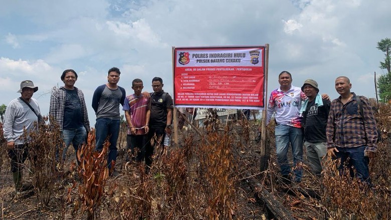 Bakar 26 Ha Lahan Untuk Kebun Sawit, Pria di Inhu Jadi Tersangka