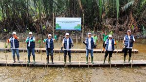Penanaman Mangrove untuk Dukung Konservasi Lingkungan