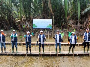 Penanaman Mangrove untuk Dukung Konservasi Lingkungan