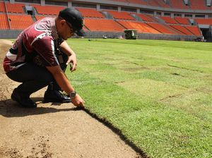 Jadi Sorotan, Rumput JIS Telan Anggaran Rp 6 Miliar