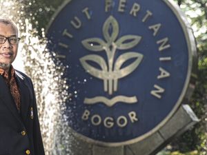 Guru Besar IPB Ungkap Herbal Antidiabetes, Apa Saja?