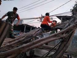 Pohon Tumbang Timpa Pikap di Bogor, 2 Orang Luka-luka