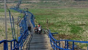 Sungai Citarum Menghijau Gegara Kelamaan Mengering