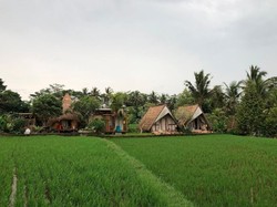 Hidden Gem di Ubud: Menginap di Kabin Tengah Sawah Cuma Rp 300 Ribu