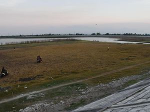 Mengering, Waduk Notopuro jadi Arena Bermain dan Dilintasi Motor Mengering, Waduk Notopuro jadi Arena Bermain dan Dilintasi Motor