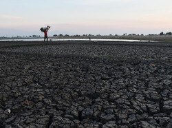 BMKG: Musim Kemarau 2025 Mundur, Durasinya Lebih Pendek