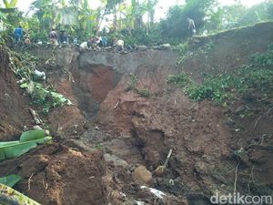 Tembok Irigasi Longsor, Ratusan Hektare Sawah di Cipatat Terancam Tembok Irigasi Longsor, Ratusan Hektare Sawah di Cipatat Terancam