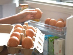 Batas Aman Menyimpan Telur di Suhu Ruang dan Kulkas