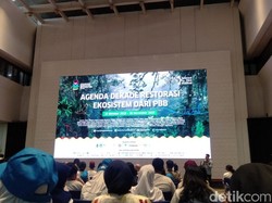 18 Film Bakal Diputar di Science Film Festival 2023, Termasuk 3 Karya Anak Bangsa