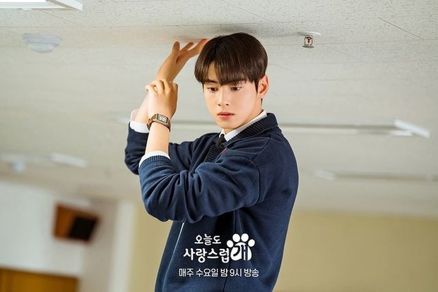 Drama A Good Day to Be a Dog /Foto: instagram.com/mbcdrama_now -