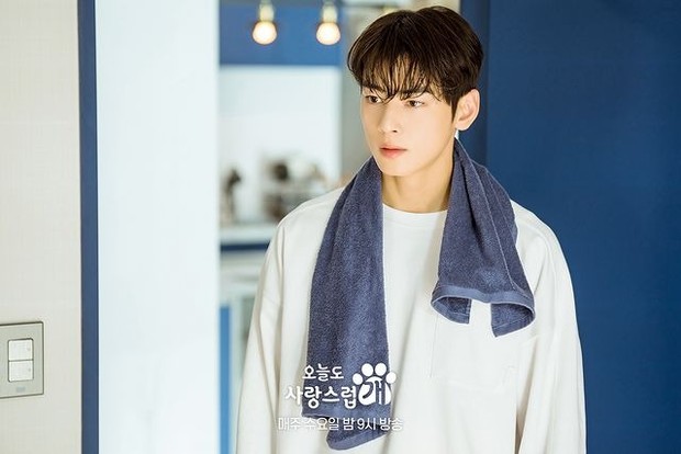 Drama A Good Day to Be a Dog /Foto: instagram.com/mbcdrama_now -