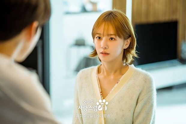 Drama A Good Day to Be a Dog /Foto: instagram.com/mbcdrama_now -