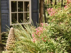 5 Kelebihan Membangun Rumah Ramah Lingkungan, Banyak Untungnya Lho!