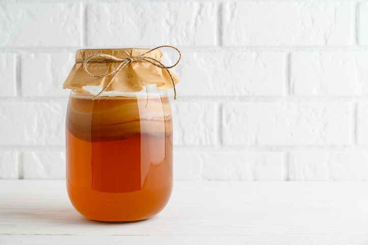 Kombucha Kombucha