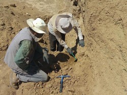 Penggalian Kuil Api Kuno Era Sassanid, Masa Penting dalam Sejarah Iran